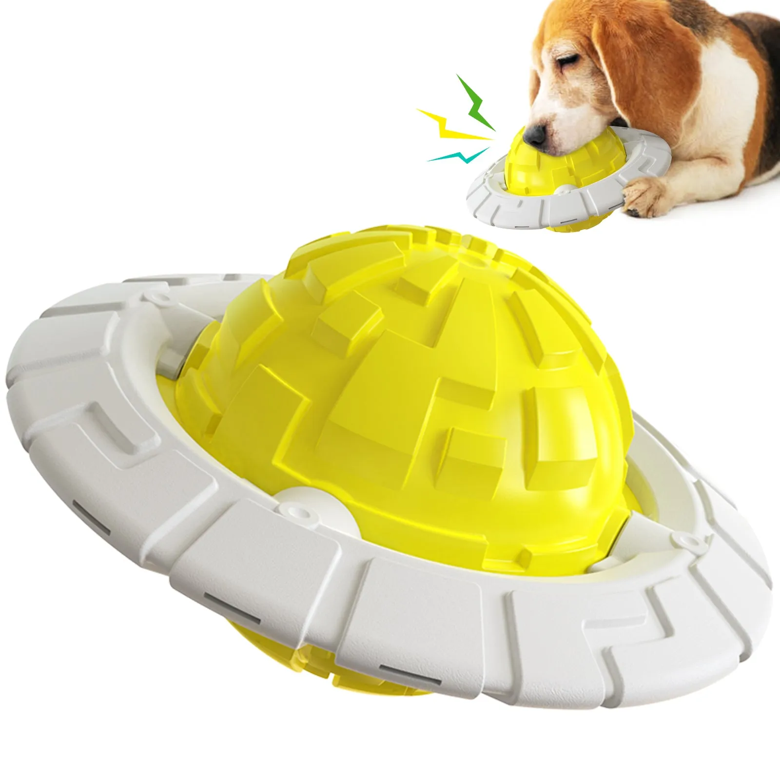 Dog Squeaky Chew Toy