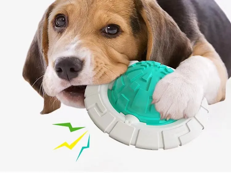 Dog Squeaky Chew Toy